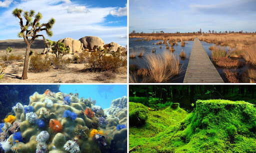 Biodiversidad y ecosistemas