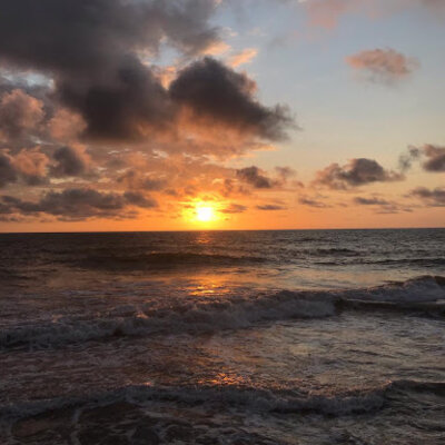 Timeline: English Synthesis Project