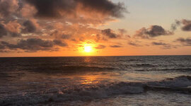 Timeline: English Synthesis Project