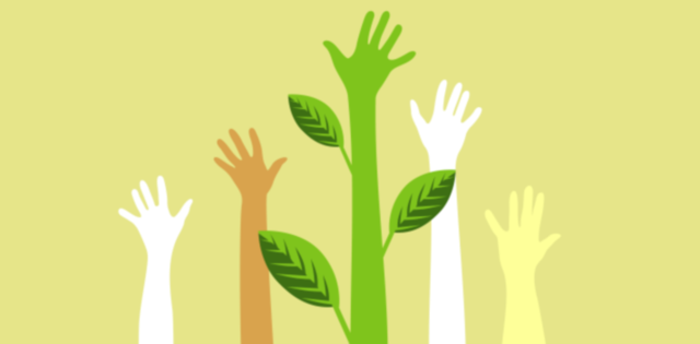 V Congreso Internacional de Educación Ambiental