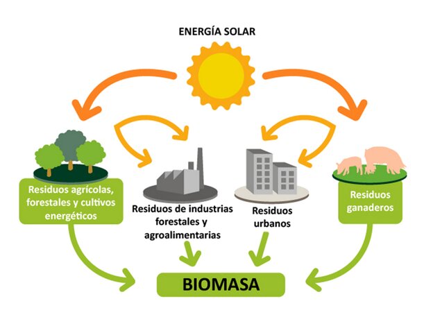 Impacto en la biomasa energética