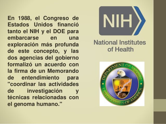 coordinar investigaciones y actividades técnicas relacionadas con el genoma humano