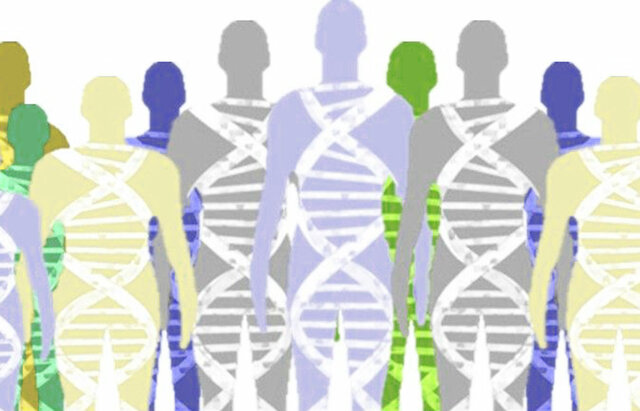Entendimiento de nuestra herencia genética: Proyecto del genoma humano, primeros cinco años, AF 1991-1995