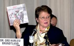 Informe Brundtland
