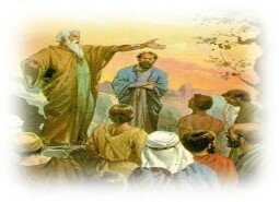 Principios de organización