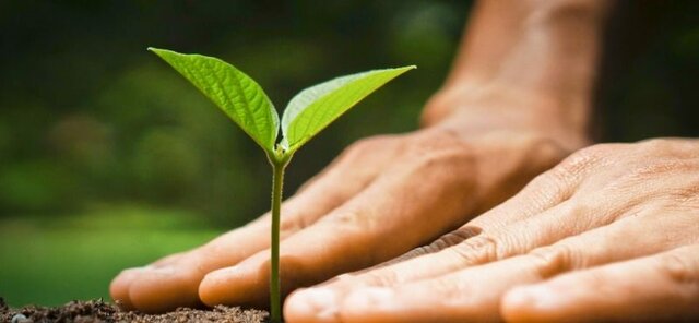 3er. Congreso Internacional de la Red de Medio Ambiente del IPN "Hacia la resiliencia en México"