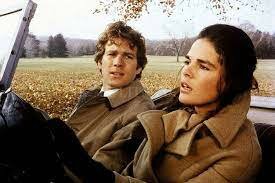 Meet Jennifer Cavalleri