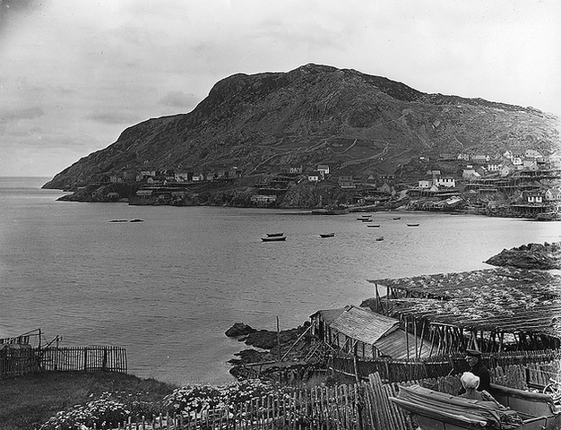 Newfoundland Joins Confederation