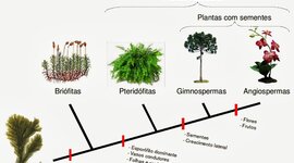 Timeline: Biology; Botanic