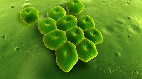 Naixement del oxígen