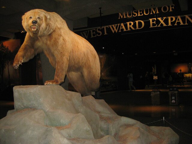 Westward Expansion Museum Opening