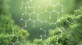 Timeline: Química orgánica