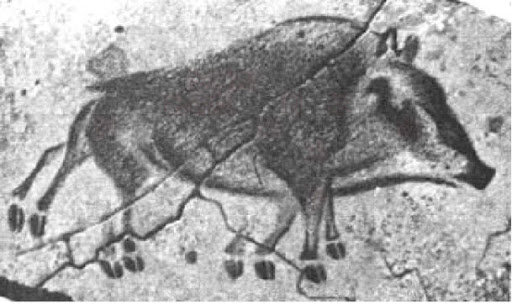 El jabalí de ocho patas