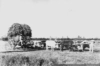 Principio de la Pre-Revolución Industrial