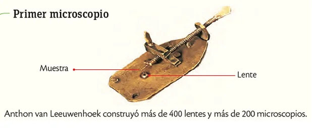 Primer microscopio.
