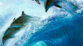 Timeline: Desarrollos tecnologicos para la conservacion del agua