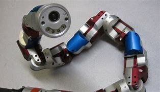 le robot serpent de miller