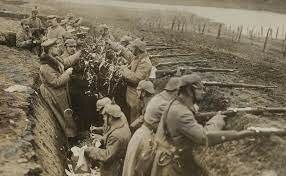 1º Guerra Mundial (1914-1919)