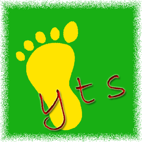 Youth Training Scheme (YTS)