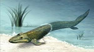 Era paleozoica