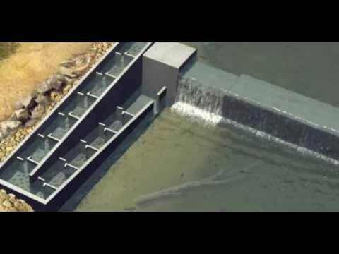 Newer Fishway