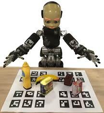 ICUB