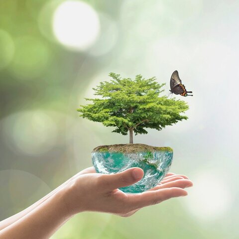 Resolución 668 de 2016