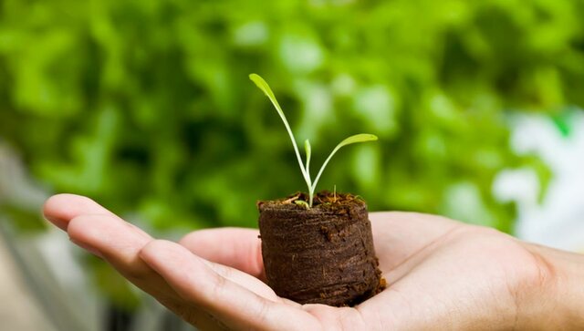 Decreto 3678 de 2010