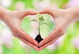 Resolución 1023 de 2005