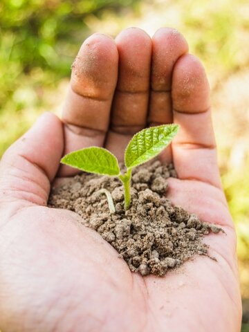 Convenio relativa a los humedales de importancia internacional especialmente como hábitat de aves acuáticas - RAMSAR
