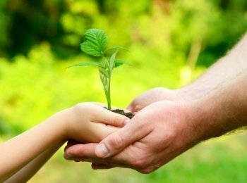 Convenio sobre la diversidad biológica.