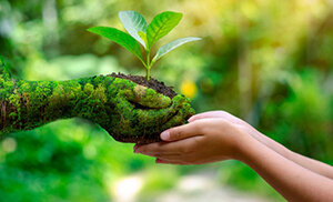 Protocolo de cooperación para combatir derrames de hidrocarburos en la región del Gran Caribe.