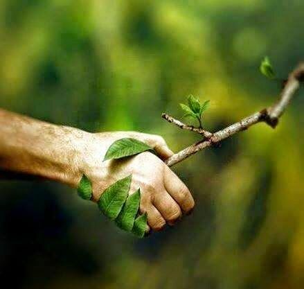 Protocolo relativo a la contaminación del mar (MARPOL) por buques