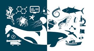 Reestructuración CCO