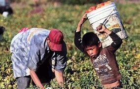 health apprentices act