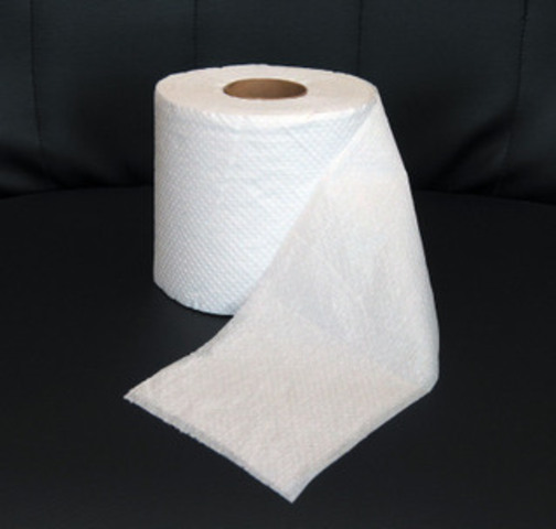 1877- Toilet Paper- Seth Wheeler