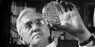 Alexander Fleming anuncia el hallazgo de la Penicilina