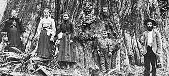 European settlers in Puget Sound.