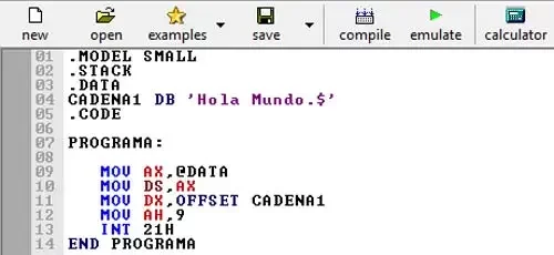 Regional Assembly Language