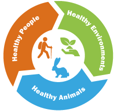 ESTRATEGIA ONE HEALTH O UNA SALUD SIGLO XXI