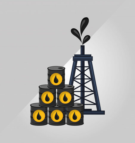 PETROLEO Y GAS NATURAL