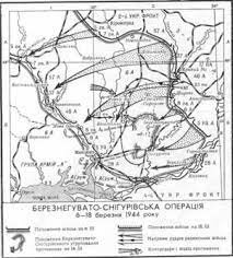 Березнегувато-Снігурівська операція