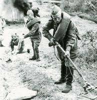 Карпатсько-Ужгородська наступальна операція