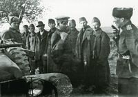 Карпатсько-Ужгородська наступальна операція