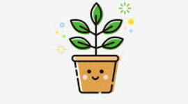 Timeline: La vida de Mireia!!