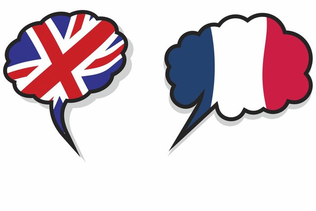 Lutte parlementaire sur la langue