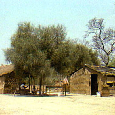 Timeline: ASENTAMIENTOS HUMANOS