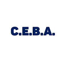México- CEBA (Centro de educación básica para adultos)