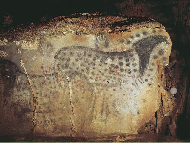Naturalism Being Portrayed in Cave Paintings