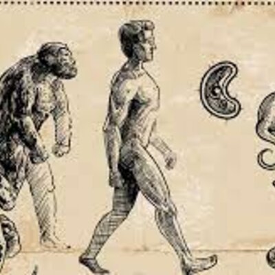 Timeline: Las Teorias de la Evolución